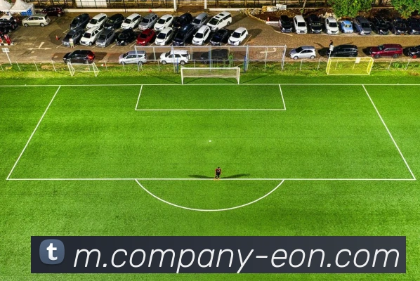 意昂体育发展历程